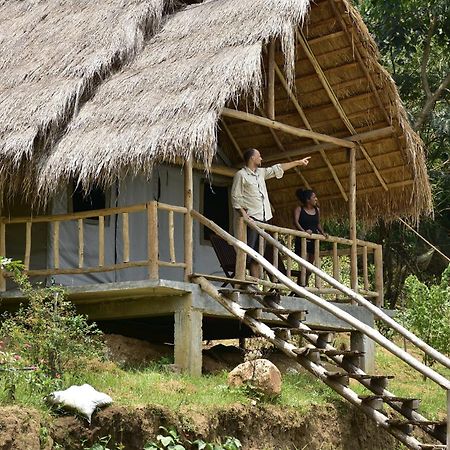 Ella Jungle Resort Bagian luar foto