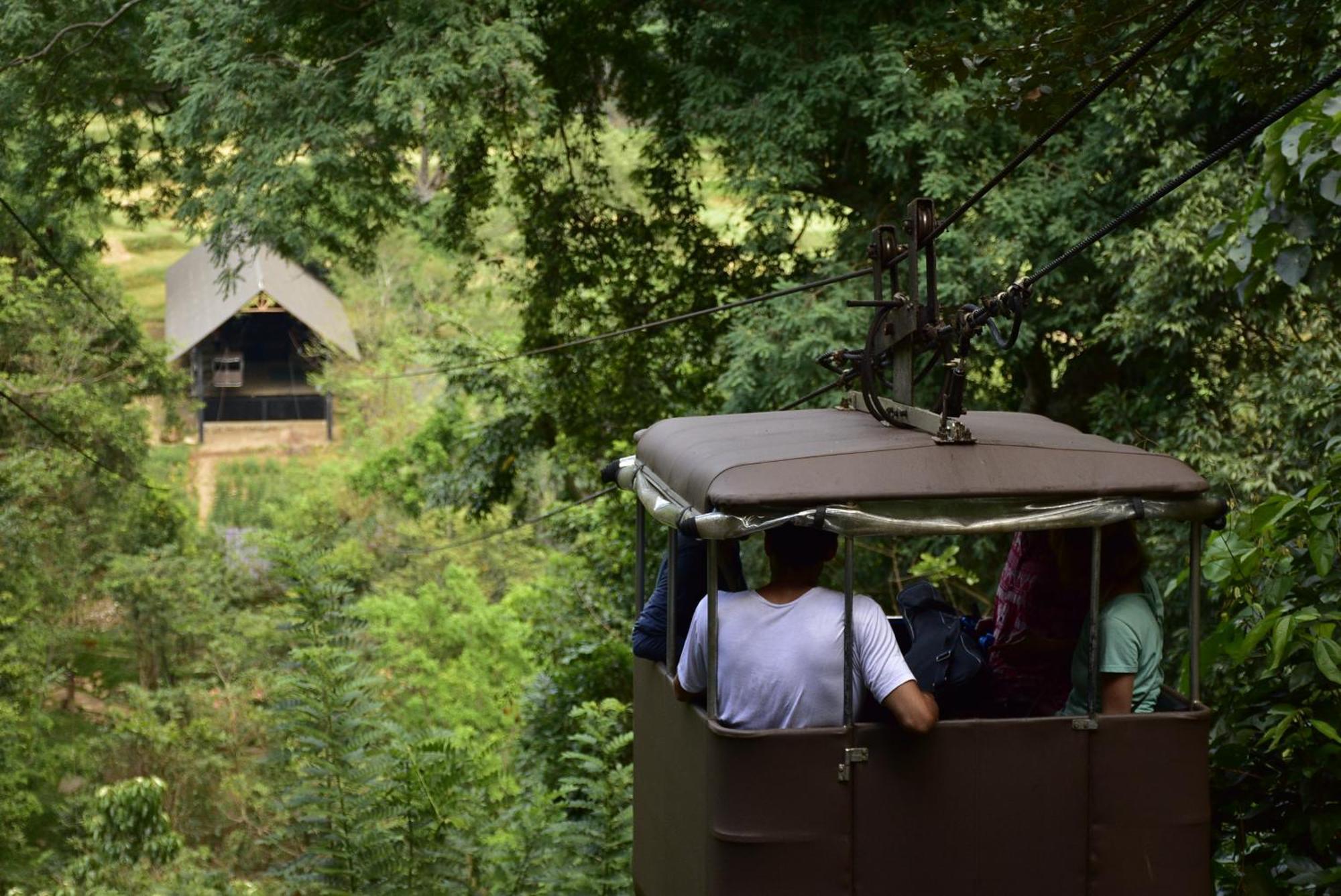 Ella Jungle Resort Bagian luar foto