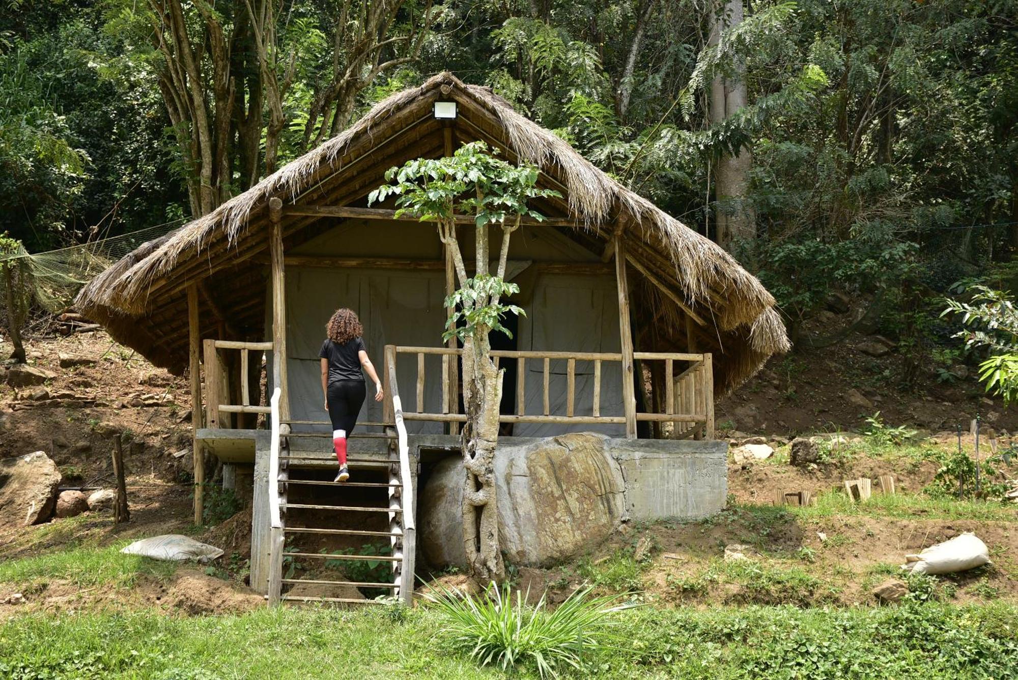 Ella Jungle Resort Bagian luar foto