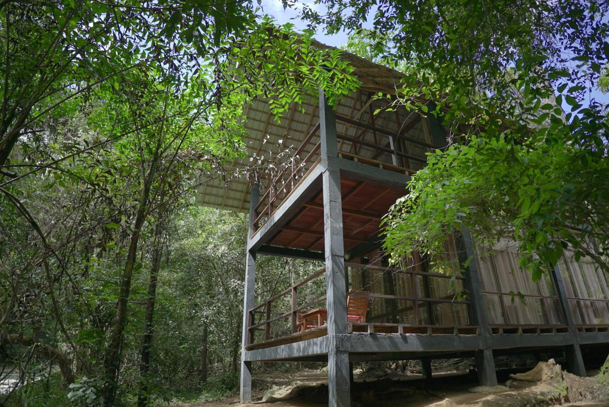 Ella Jungle Resort Bagian luar foto