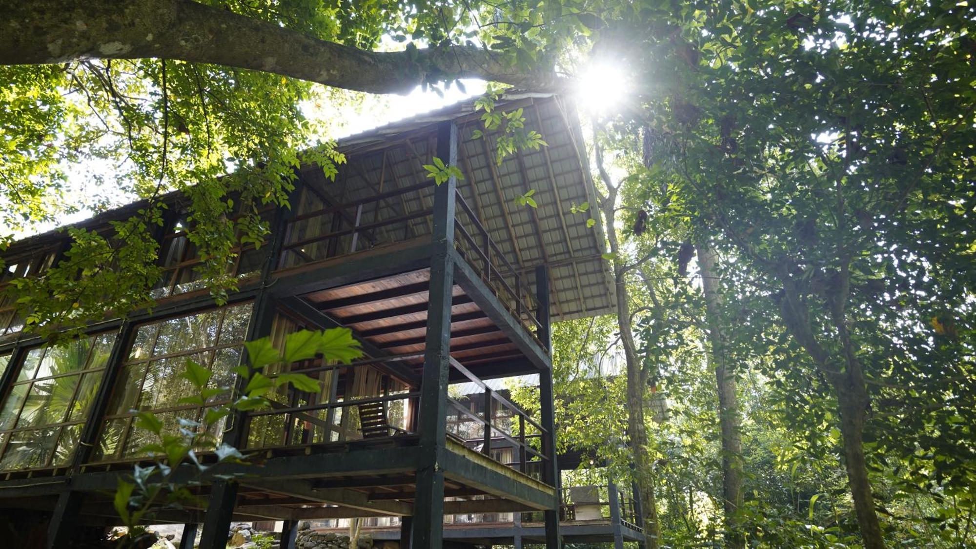 Ella Jungle Resort Bagian luar foto