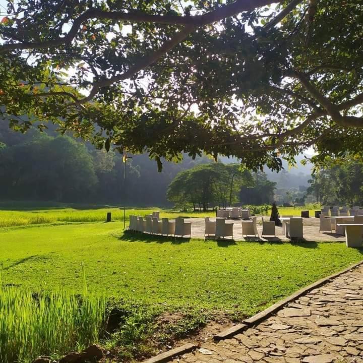 Ella Jungle Resort Bagian luar foto