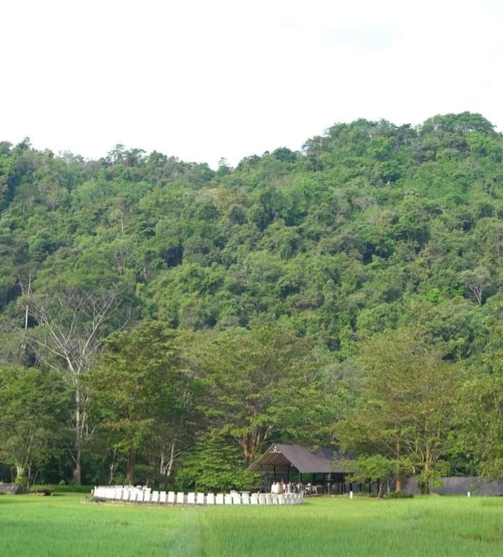 Ella Jungle Resort Bagian luar foto