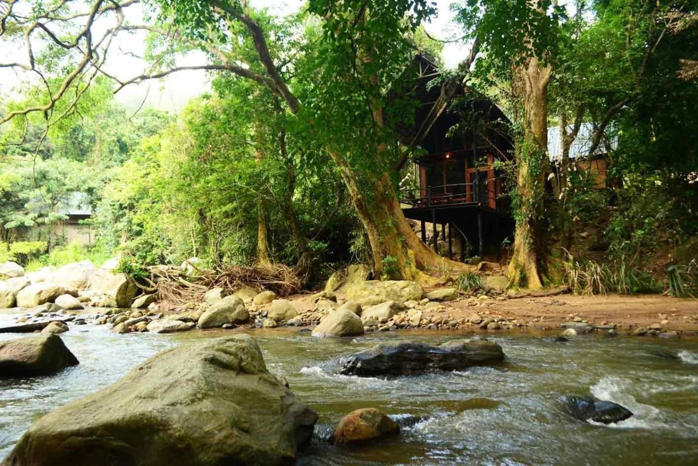 Ella Jungle Resort Ruang foto