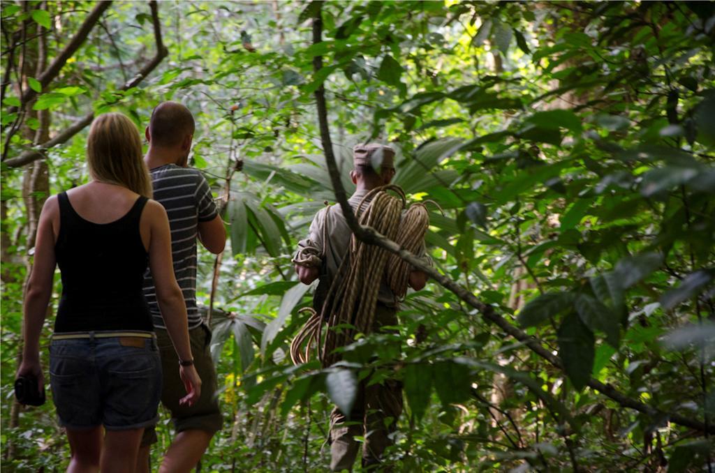 Ella Jungle Resort Bagian luar foto