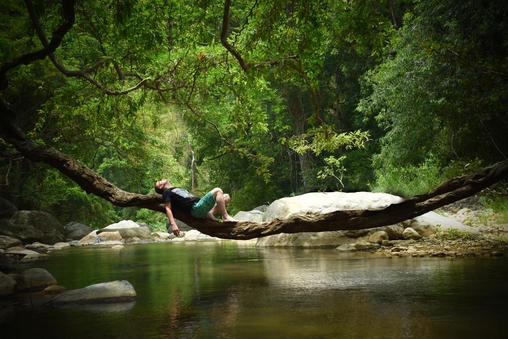 Ella Jungle Resort Bagian luar foto