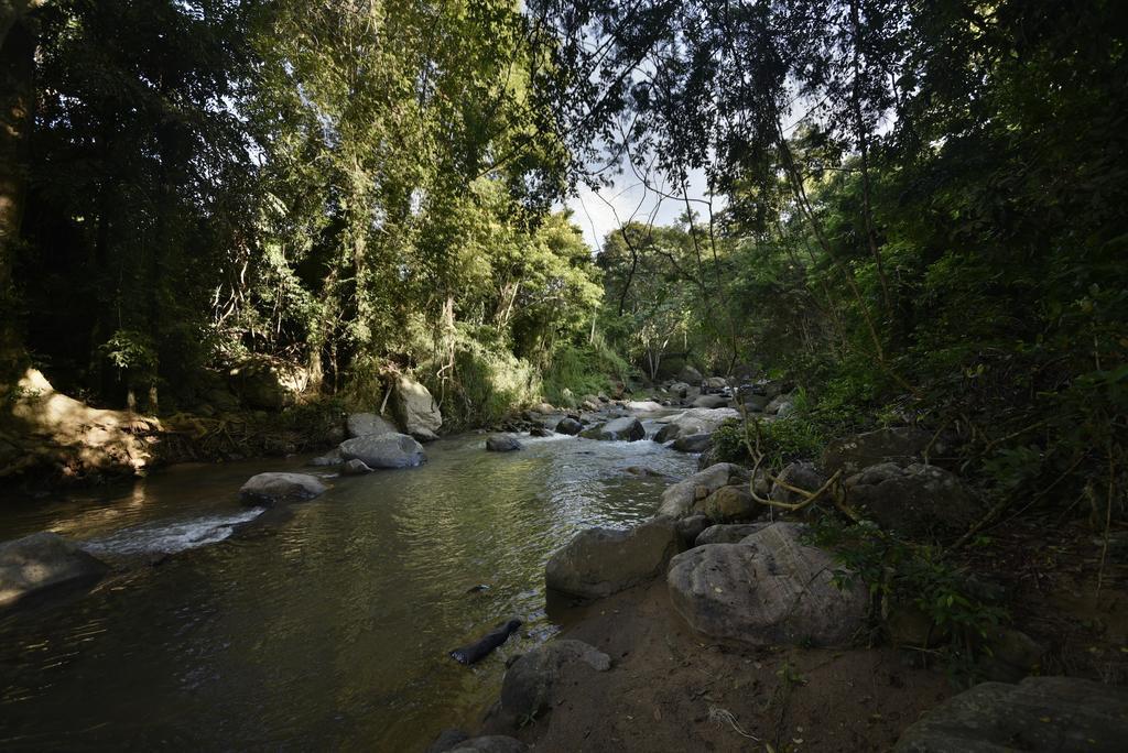 Ella Jungle Resort Bagian luar foto
