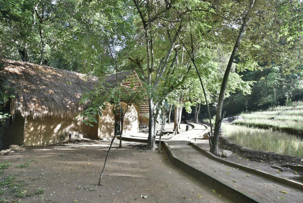 Ella Jungle Resort Bagian luar foto