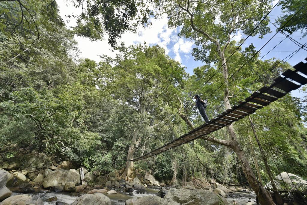 Ella Jungle Resort Bagian luar foto