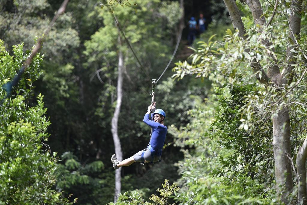 Ella Jungle Resort Bagian luar foto