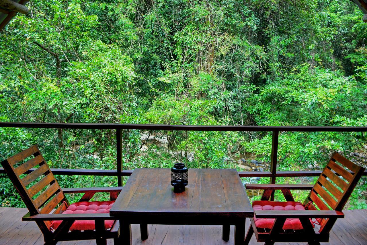 Ella Jungle Resort Bagian luar foto